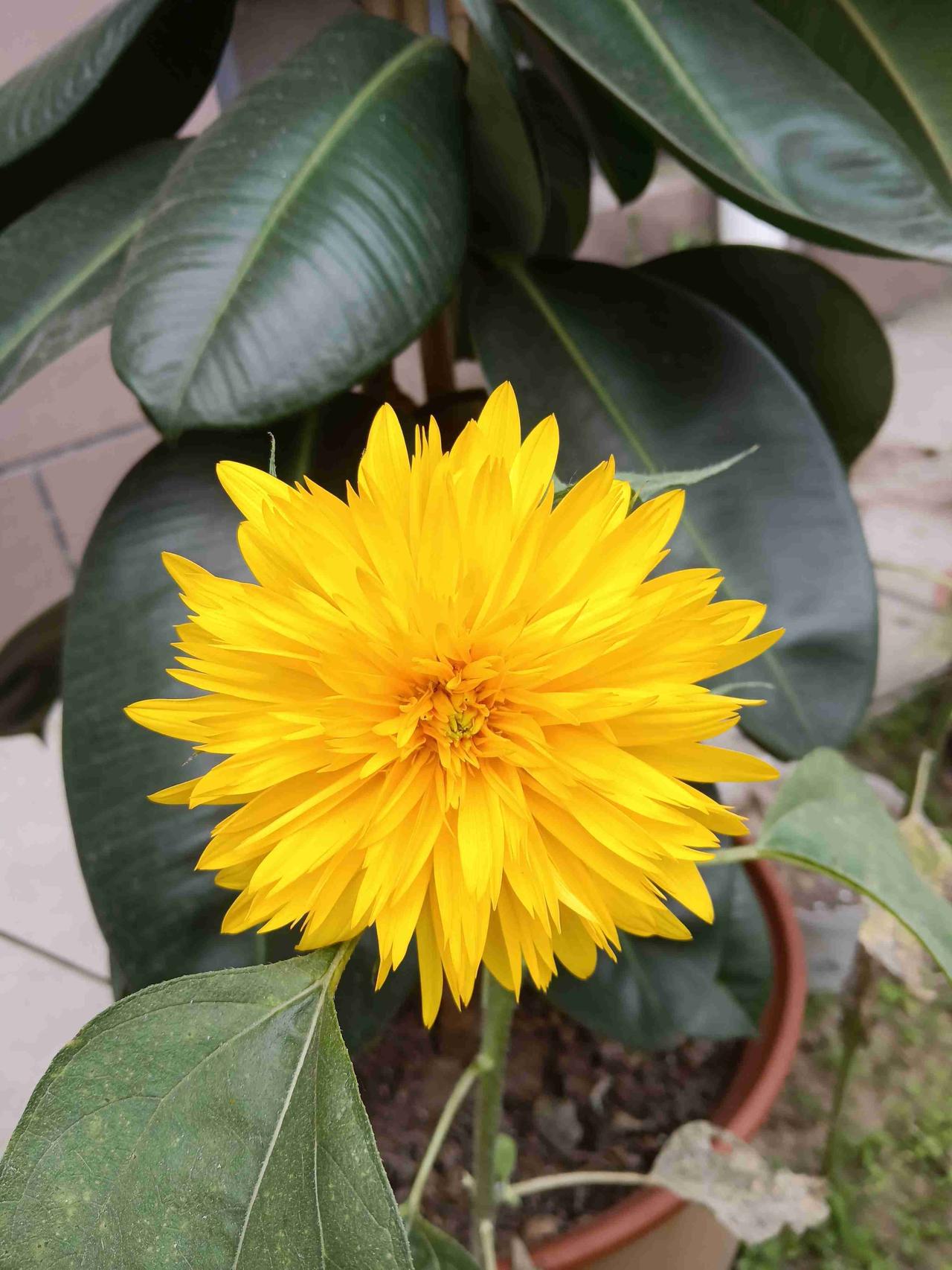 我的今日状态：😁轻松愉快
我这里的天气：☀️晴天