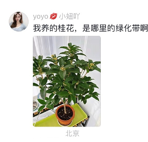北方的宝 南方的草 ​​​