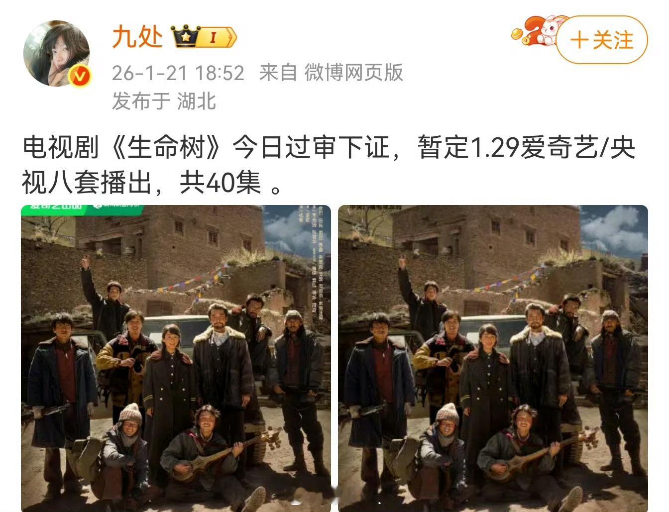 杨紫胡歌生命树今日过审下证生命树共40集 杨紫胡歌《生命树》今日过审下证！燥候播