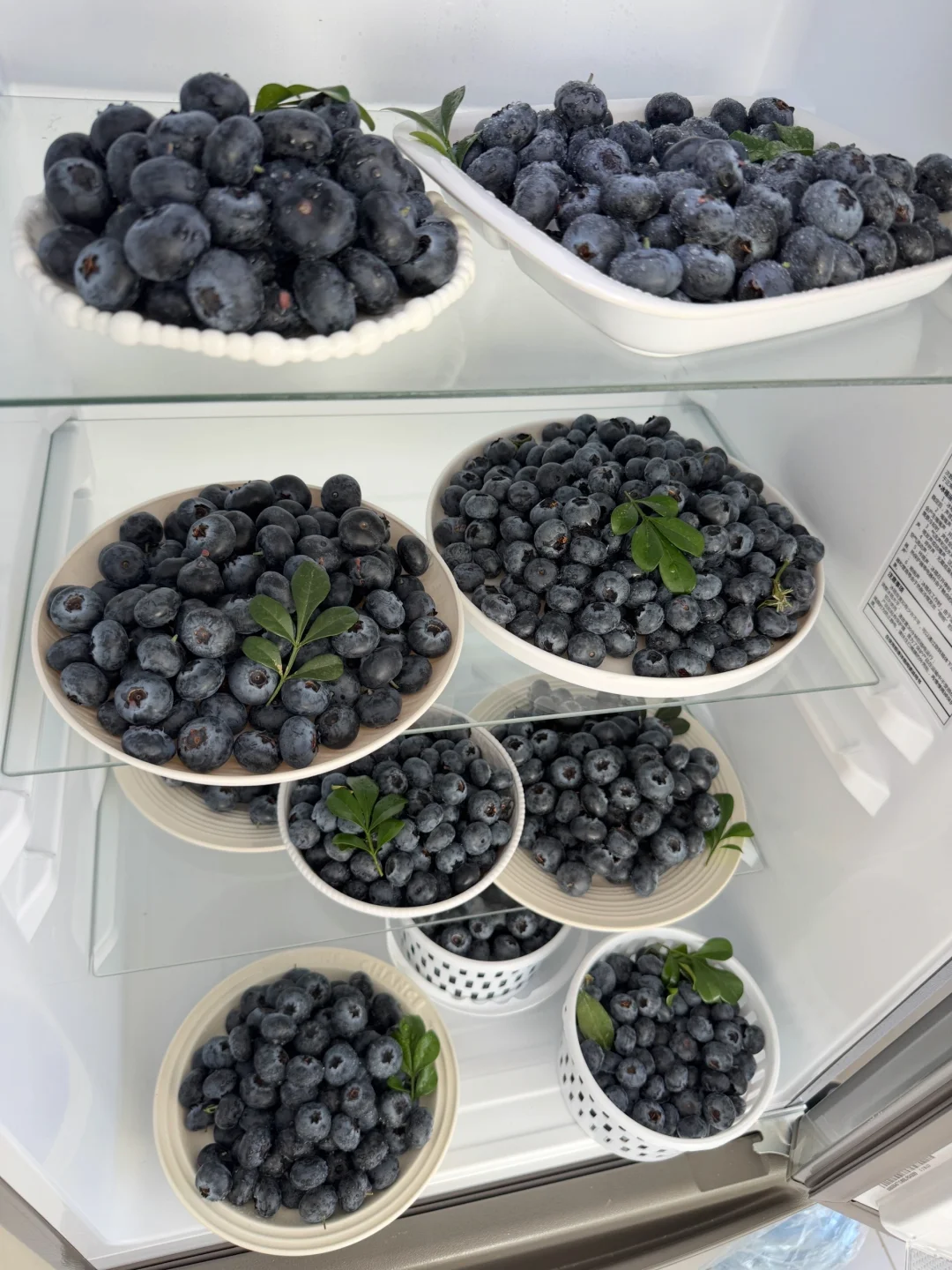 当花香蓝莓跌倒40多一大桶，就不用在吝啬了！