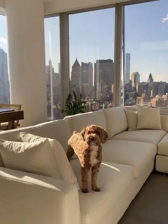 我租到了纽约同款网红公寓