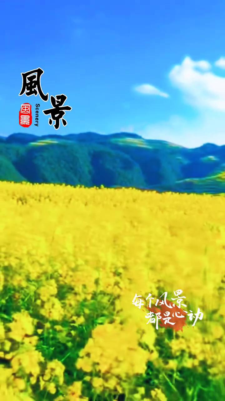 每个风景都是心动。
绕过高山穿越大漠，征途上还有无尽的跋涉。不要说道路坎坎坷坷，