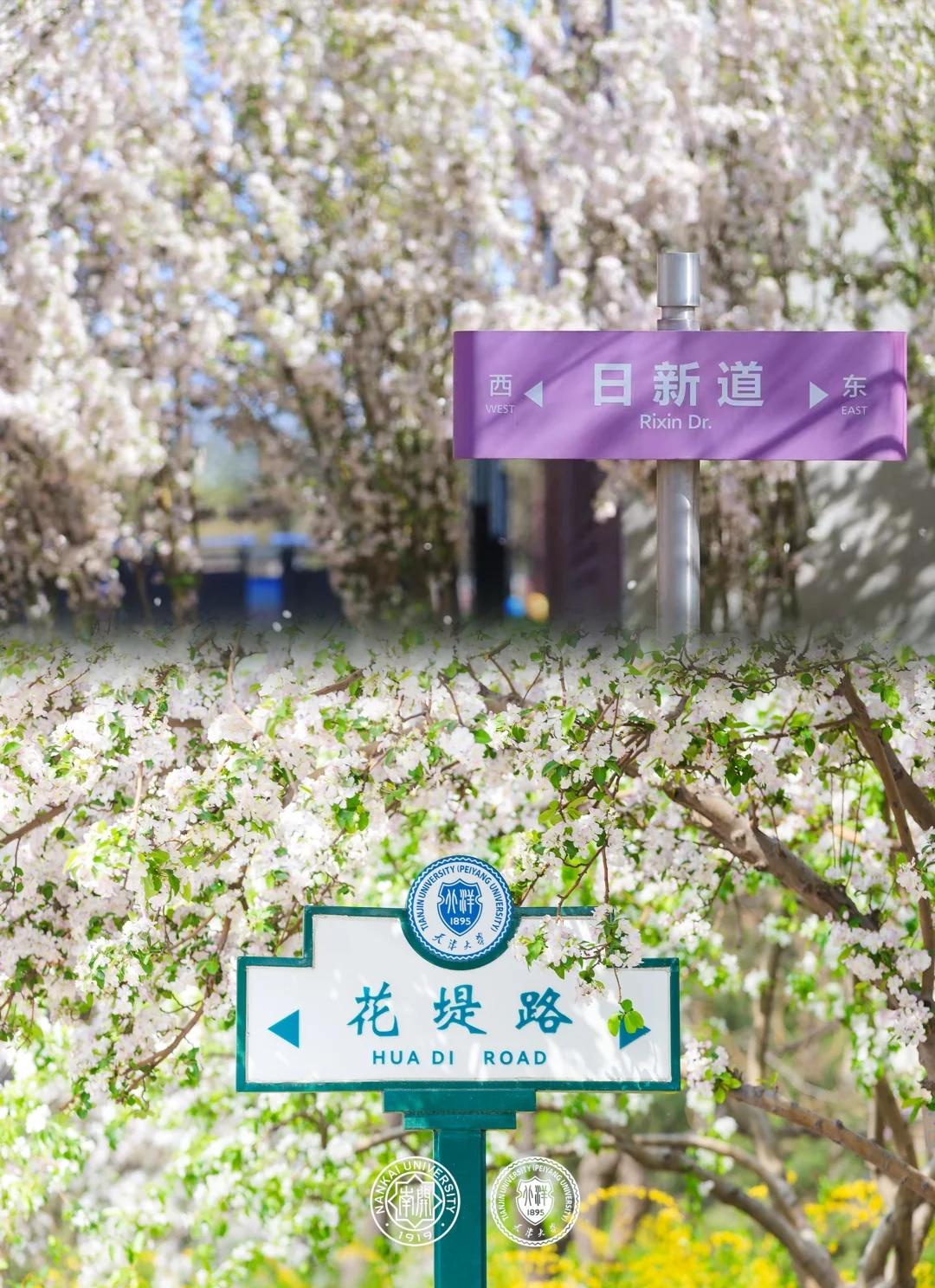 130岁生日快乐！
渤海日出轻启津沽天幕九河柔波浸润百年繁华今天，开宝的邻居小天
