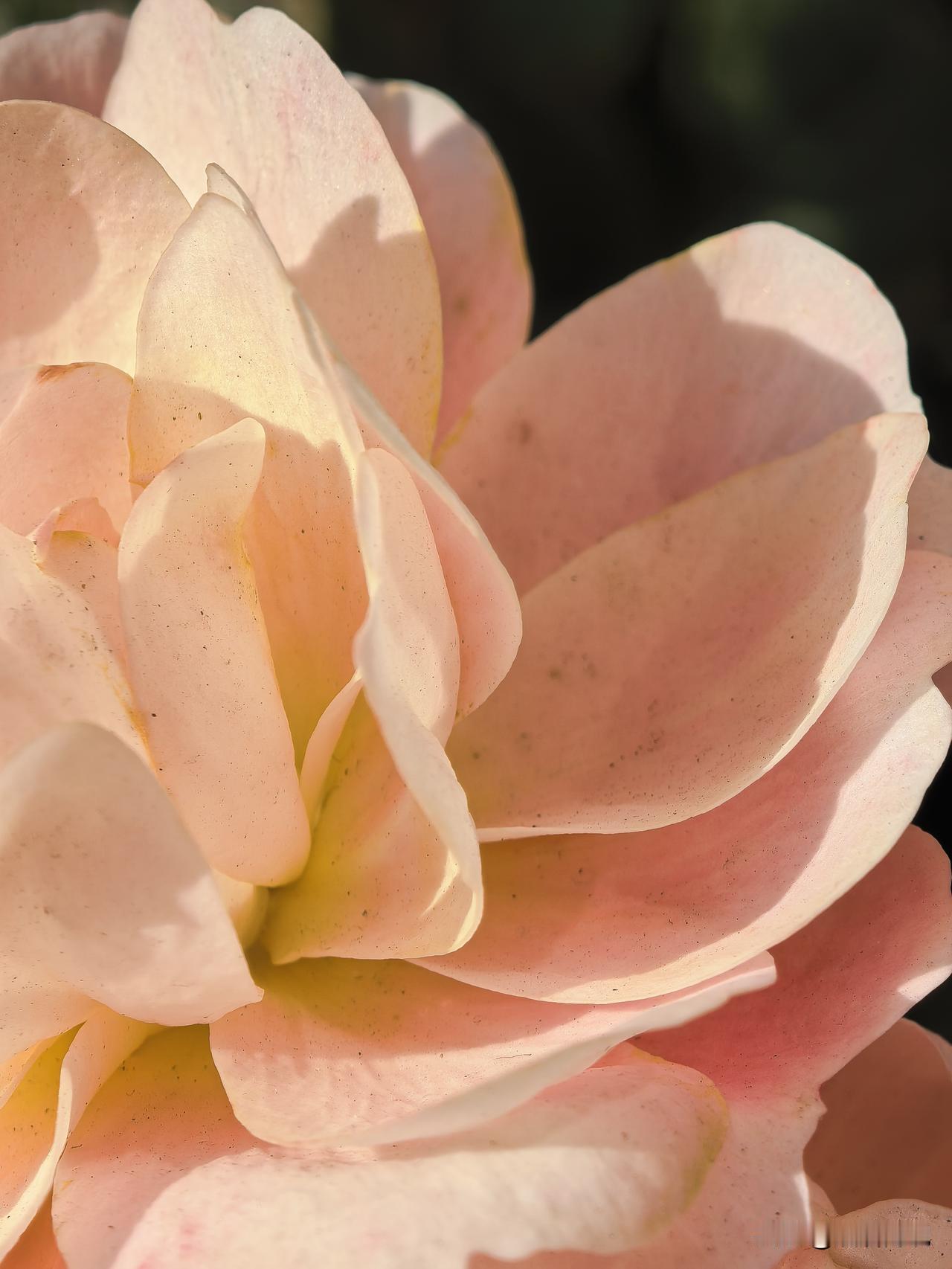 根据十五五的规划，酒店数字化转型的本质是以数据流驱动业务流，通过智能终端重构服务