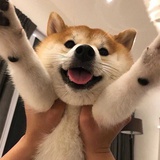 辉顺热聚影视剧