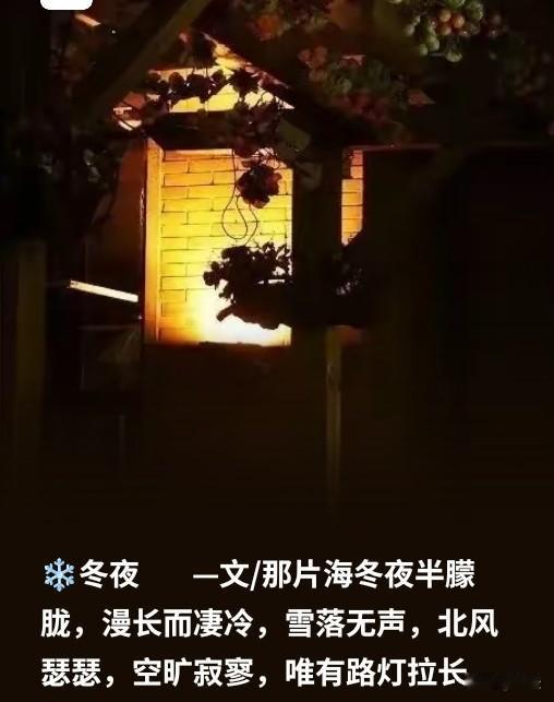 冬夜
 
冬夜半朦胧，漫长而凄冷，雪落无声，漫过窗棂覆了檐角。晚风卷着碎雪掠过街