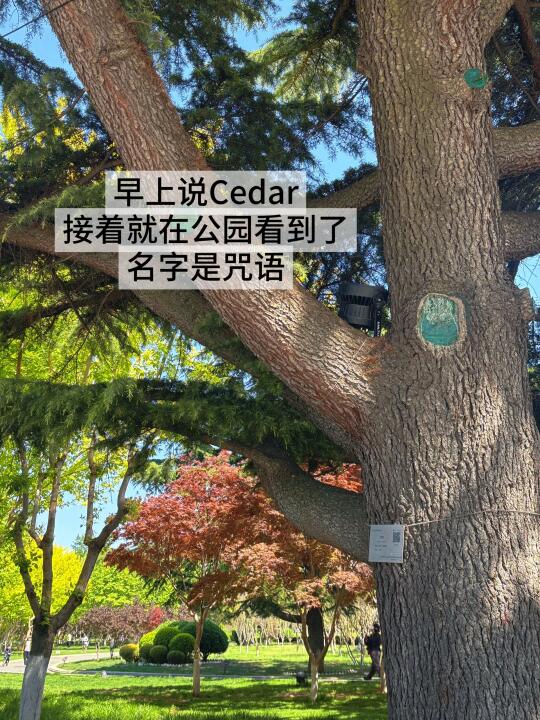 旅游不会让人变聪明
