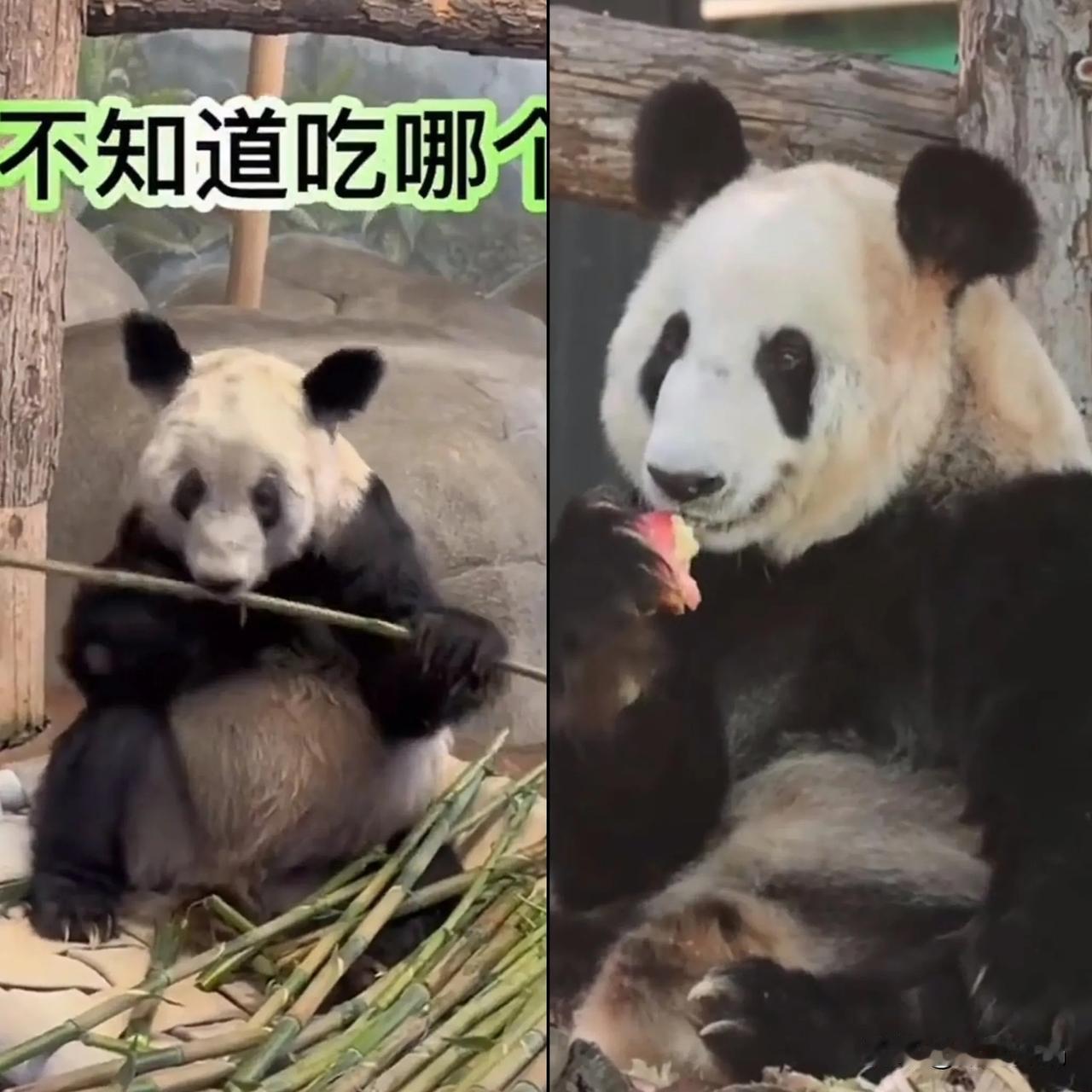 嫁人一定要嫁比娘家好的，
要不极大可能就跟丫丫一个下场，
丫丫当时一直被否定，