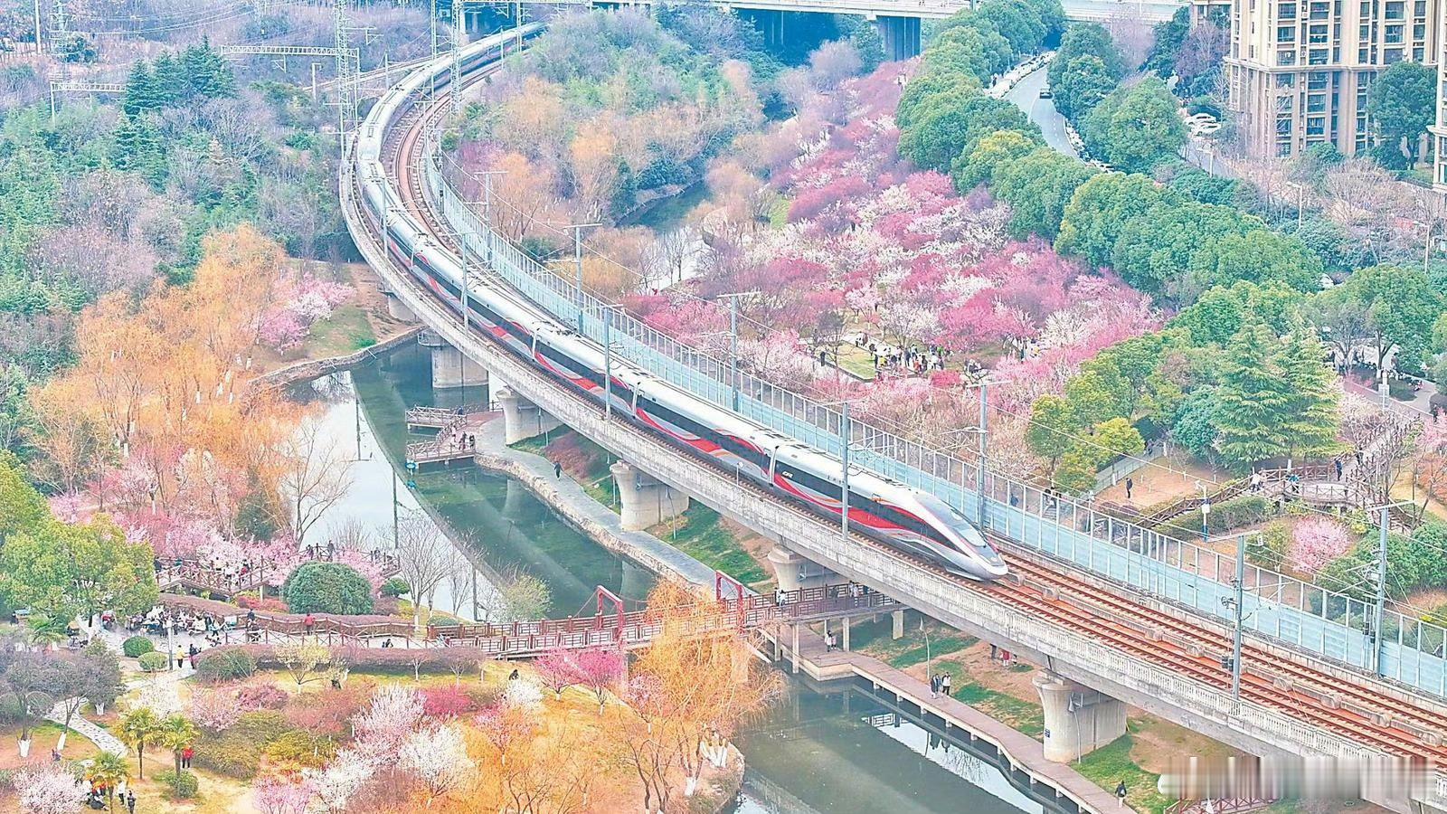 合肥多地春意盎然 2月22日，合肥市蜀山区匡河公园、绿轴公园，梅花绽放、姹紫嫣红