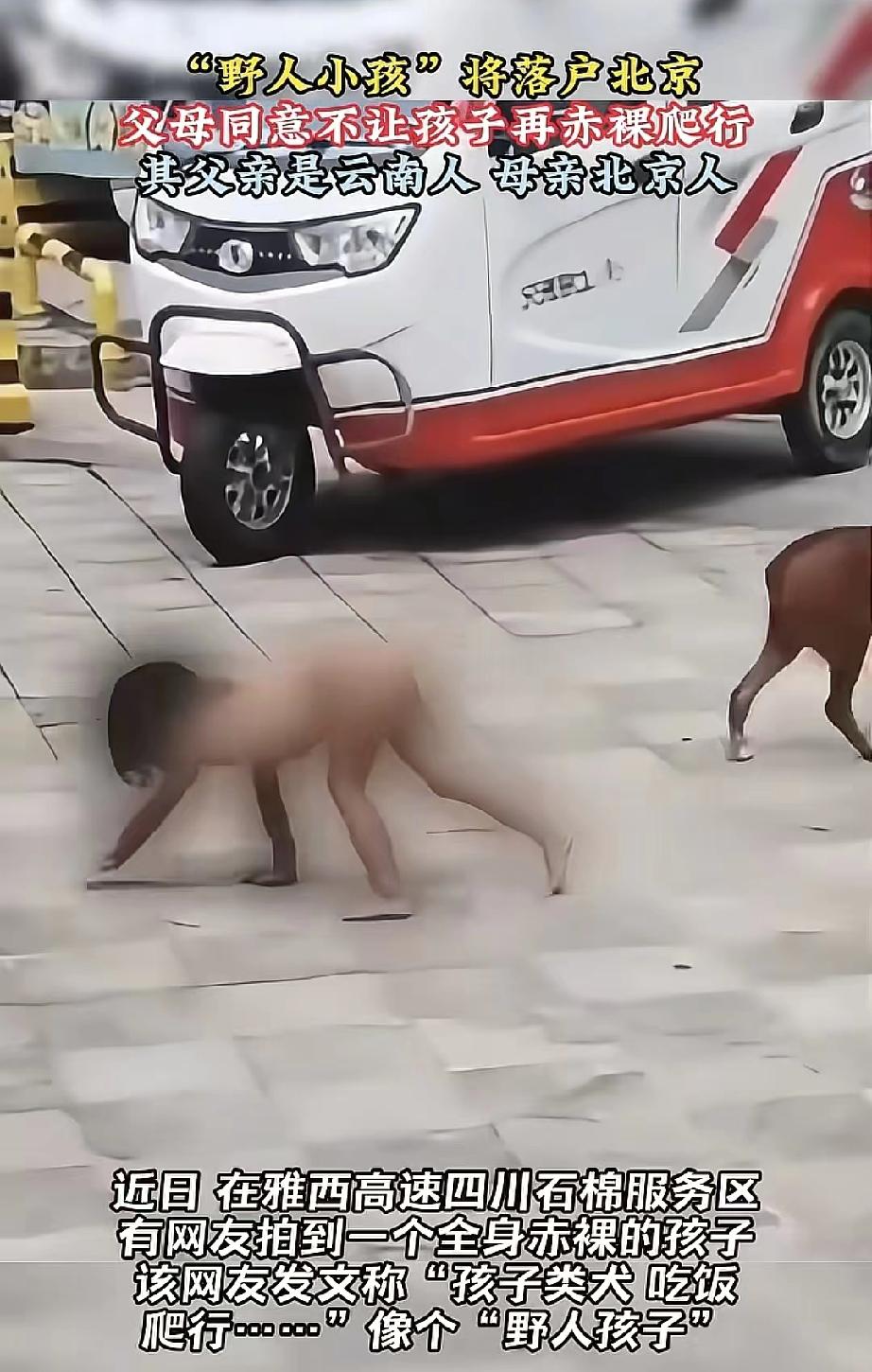 这父母得多狠的心啊
这“野人小孩”的剧情反转
比川剧变脸还快！
前一秒还在石棉服