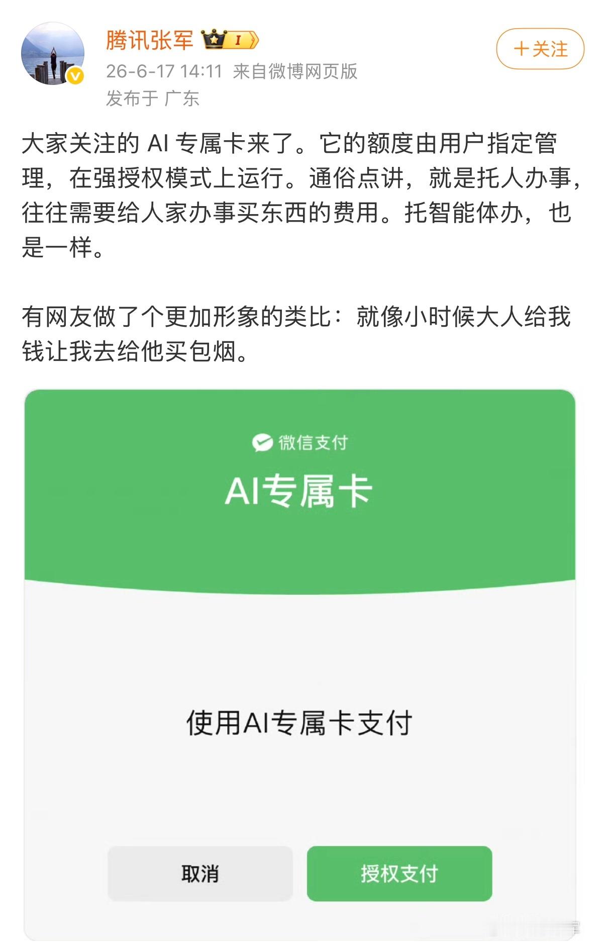 AI支付类似把钱给别人让他帮忙买东西，一句话就可以让AI帮你下单，简化付款的流程