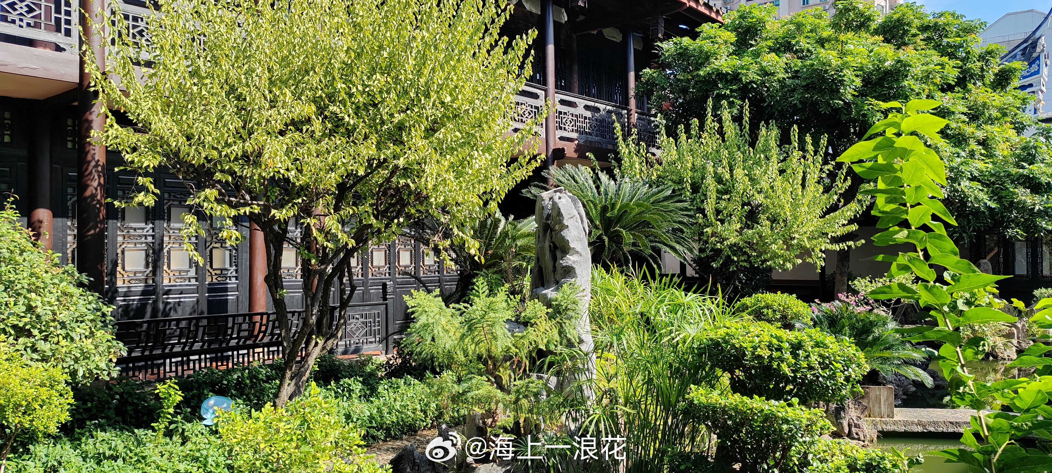 看似不起眼的日复一日，会在将来的某一天，突然让你看到坚持的意义。生活手记