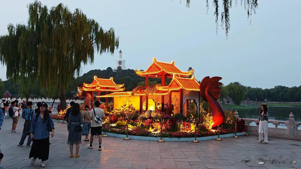 帮我点评
可否？
