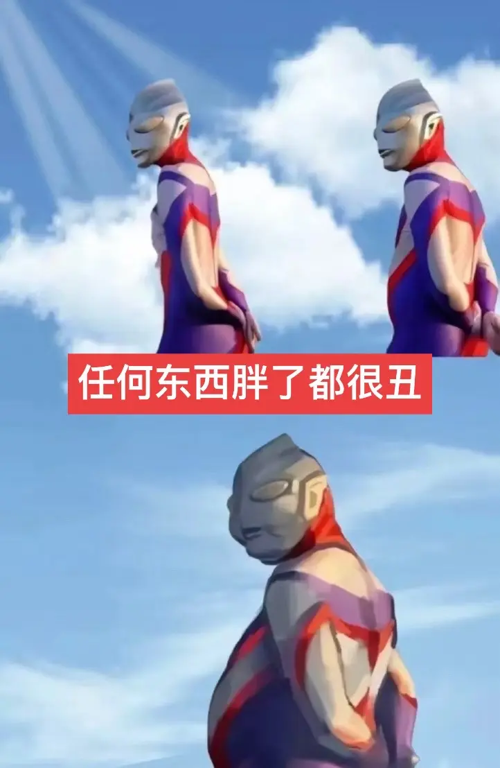 一胖毁所有。任何东西胖了都很丑