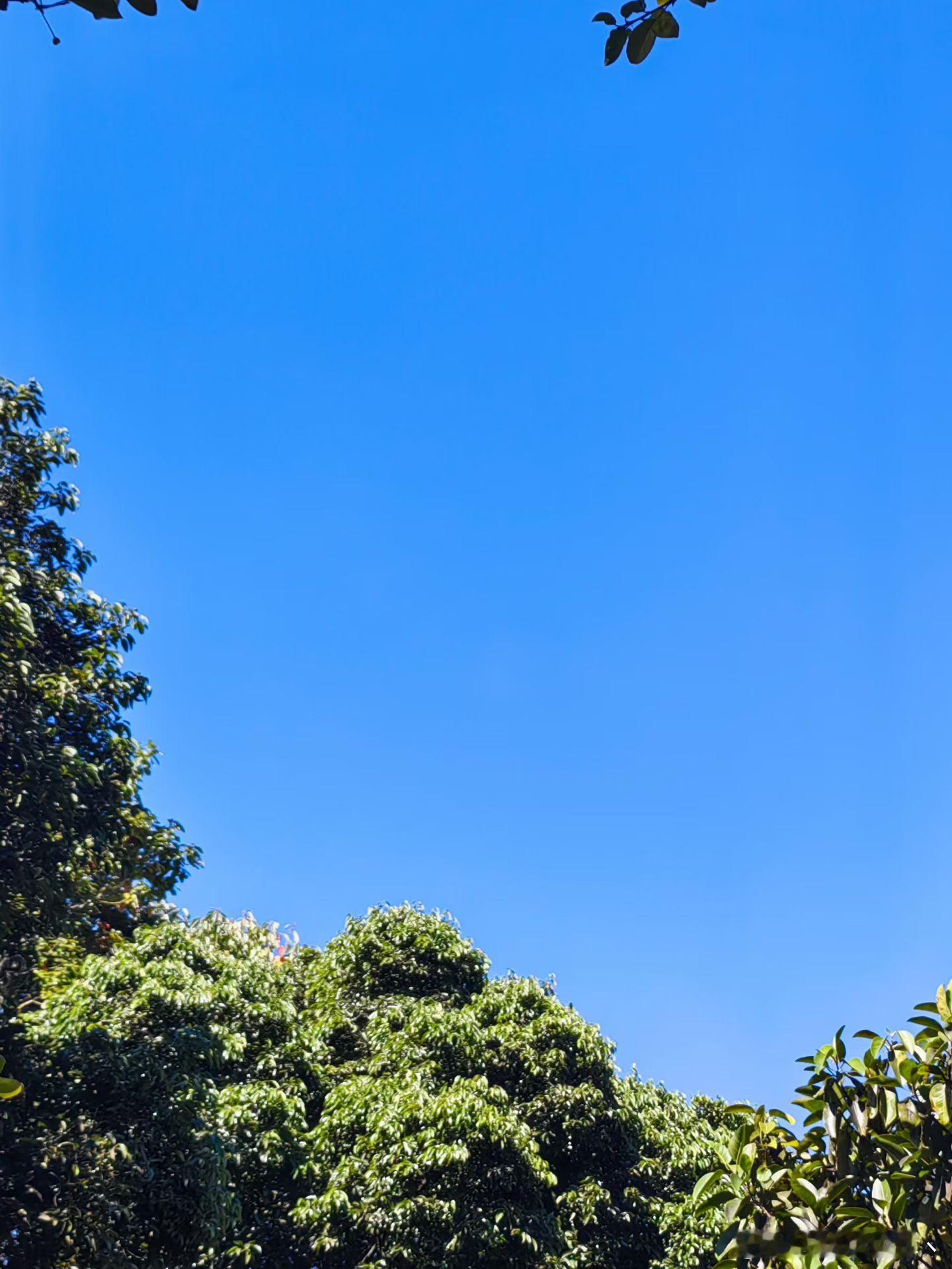 在忙忙碌碌的生活中，做到勿忘初心，就很好 ​​​