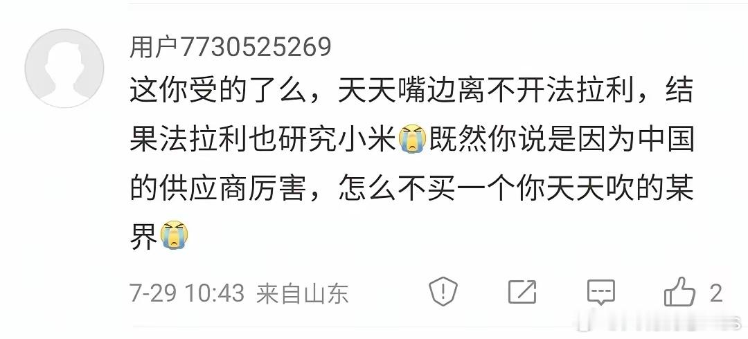 陈震又被一些网友教育了：为什么法拉利会买小米的车，却不买华为的车！ ​​​