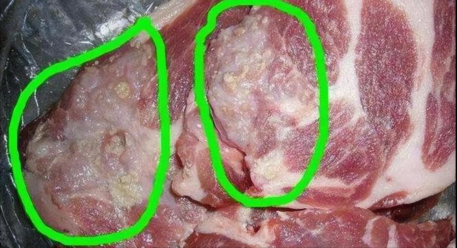 太毒了！90%的人都不知道，猪肉中“最毒”的器官是哪里，在我国早已禁售，但许多人
