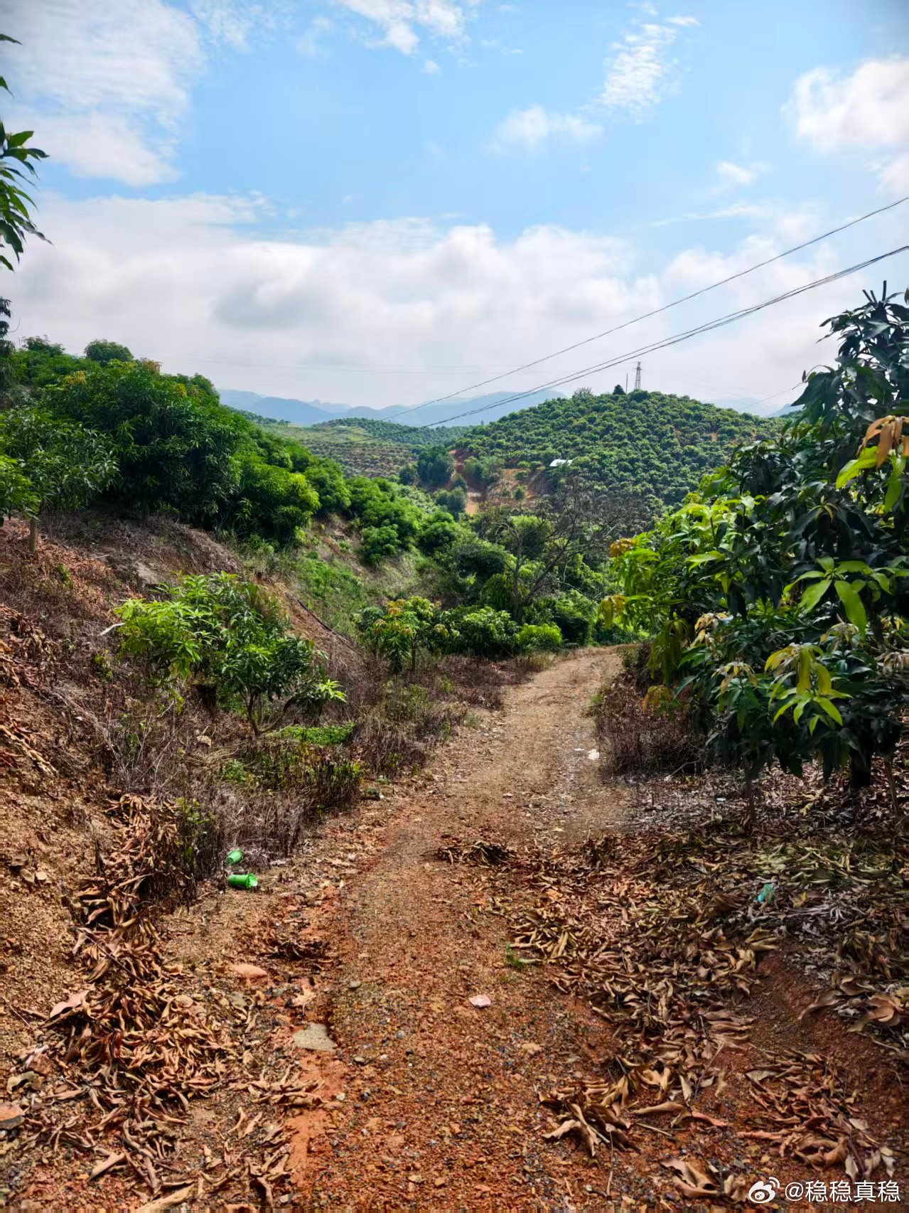 狗南人在浪的路上 