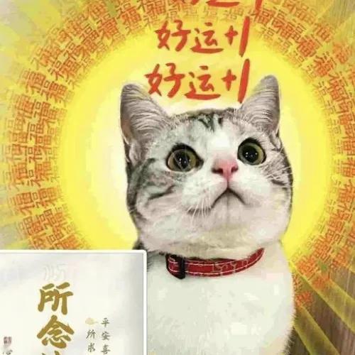 工资翻倍，幸福追随，身体健康，年年胜意，岁岁欢愉！希望新的一年能如我所愿，一切都