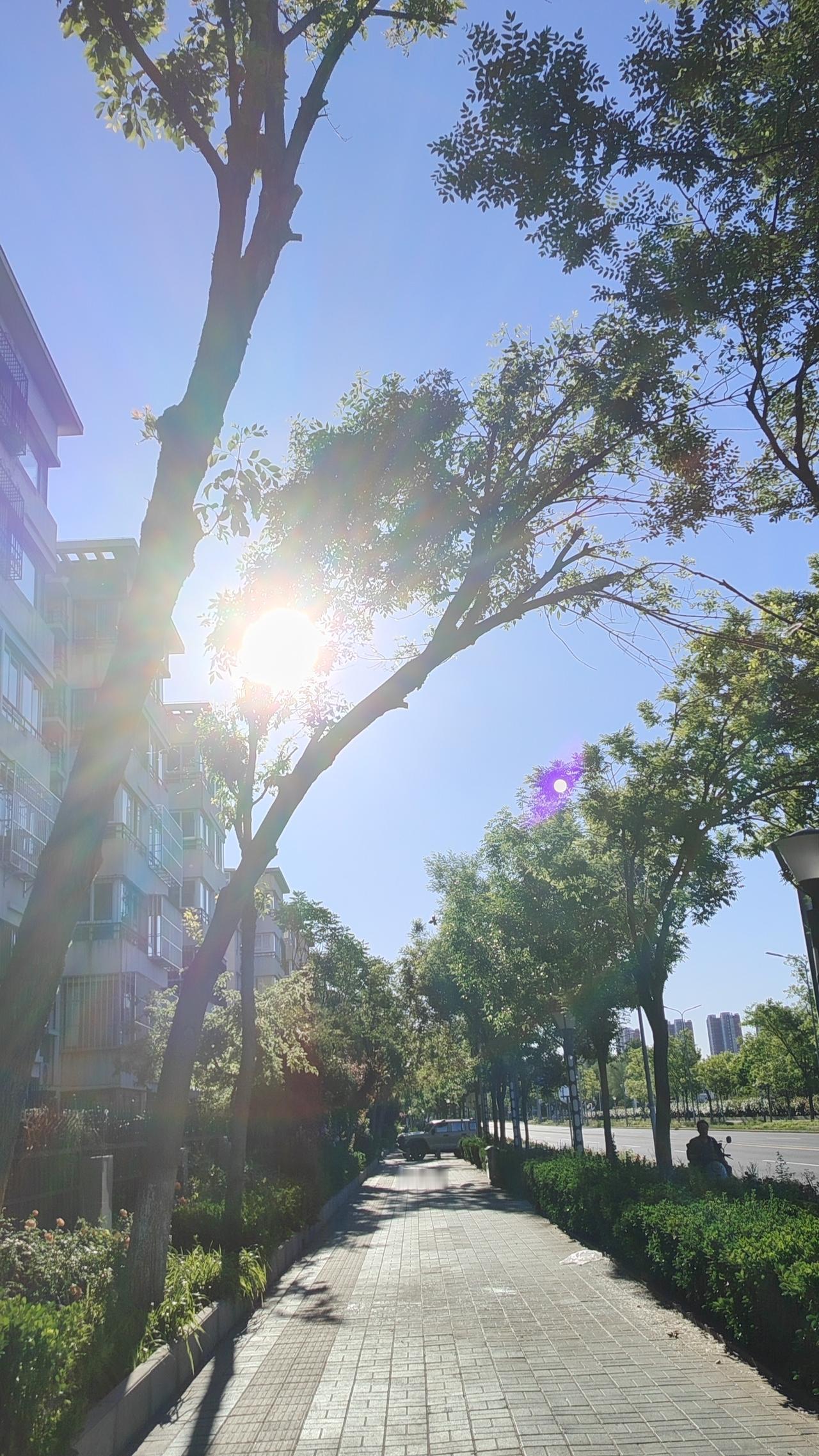 厚德载物•井底之蛙(1)：在认知的维度上，拓宽生命的疆域…

当我们仰望星空，感