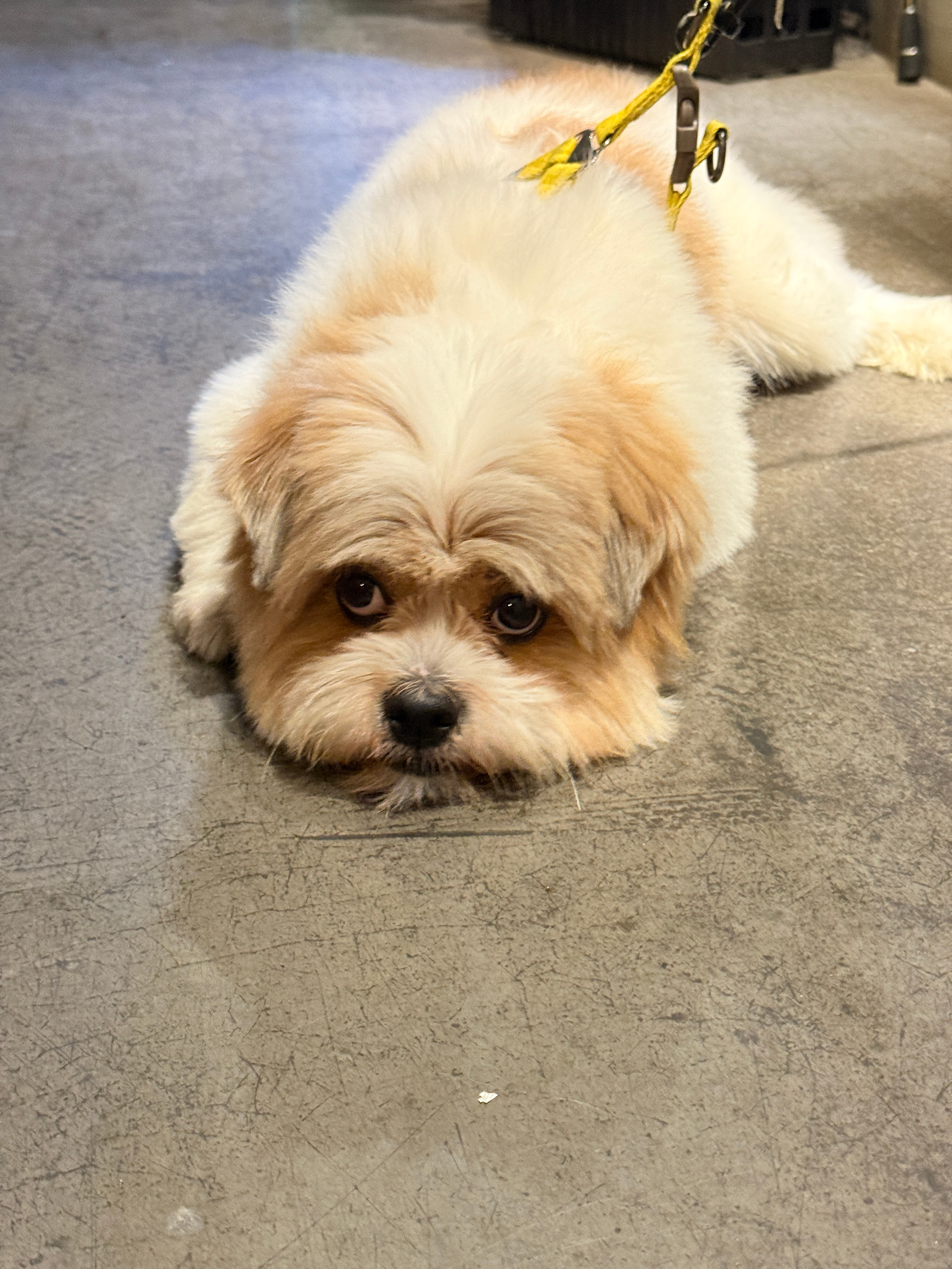 吃吃喝喝 ​​​