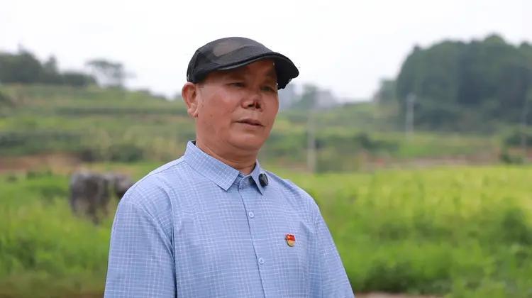 湖南69岁老人勇救路人，搏斗中鼻子被歹徒整块咬掉吞下，死不松手最终在众人帮助下制