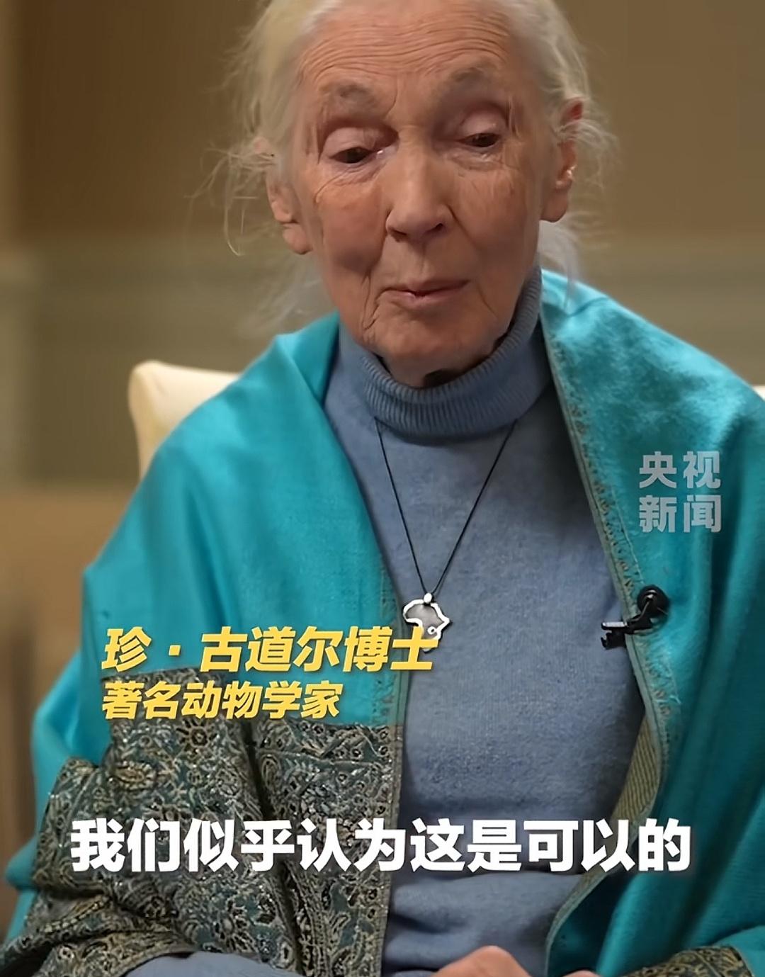 91岁珍·古道尔研究所创始人离世！那个和黑猩猩做了60多年“家人”的传奇奶奶，永