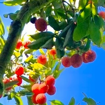 每日一善 阳光信用每日一善 我们日行一善，并不是放下手中一切事情，刻意地去做好事