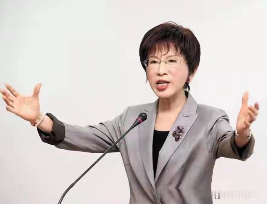 此次洪申翰赴南京参会，整个过程平稳有序，未出现意外状况。两岸业务层面的往来本就未