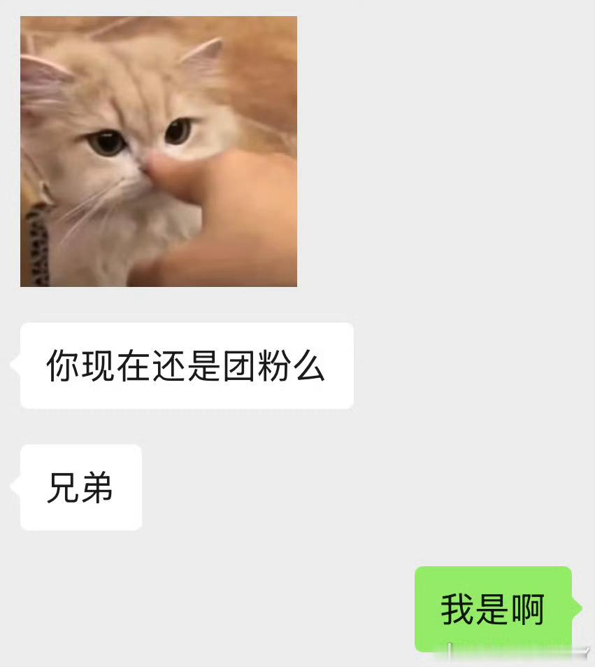我将在这次上海演唱会担任团粉的角色 