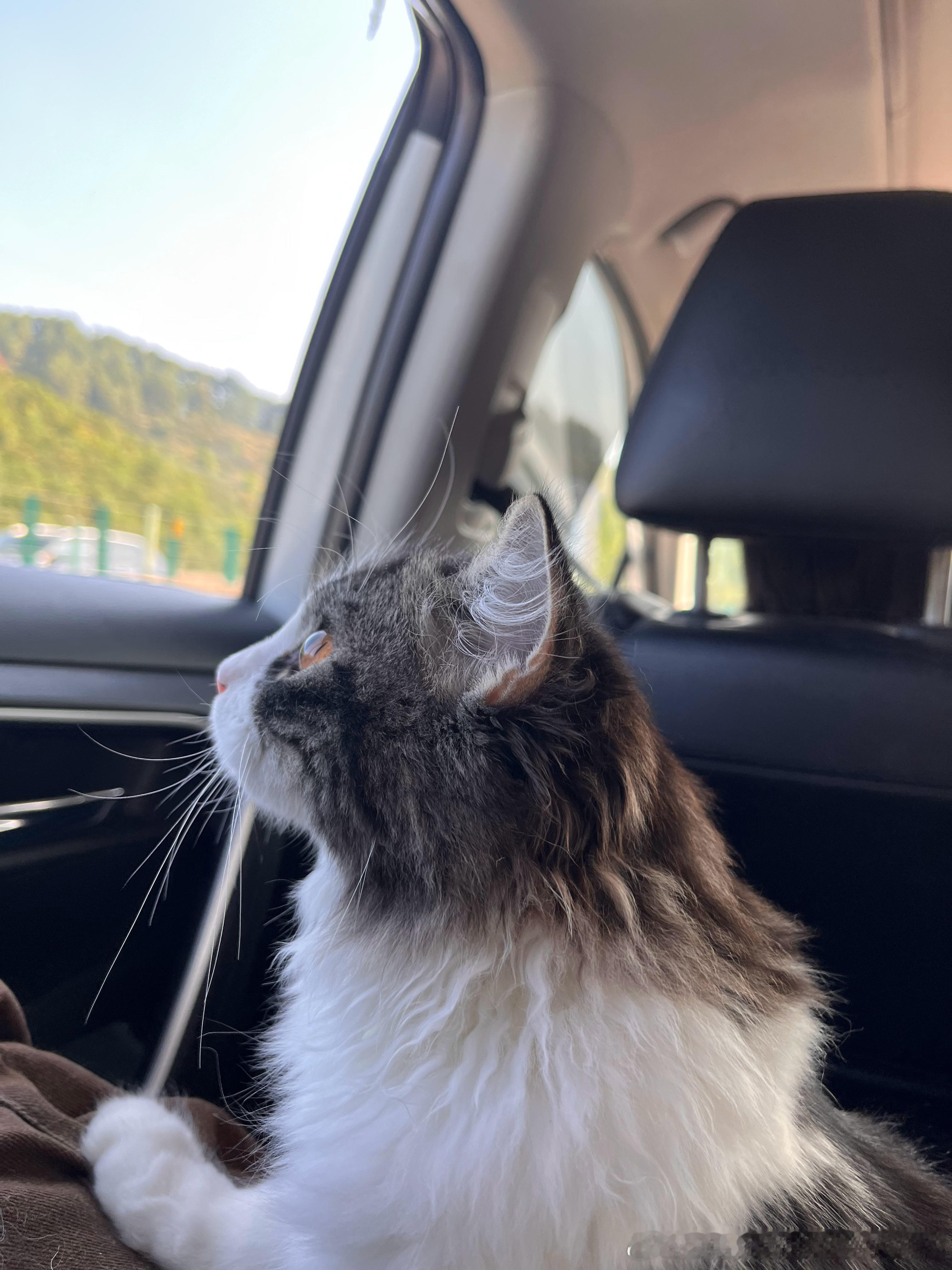 🚘 ​​​