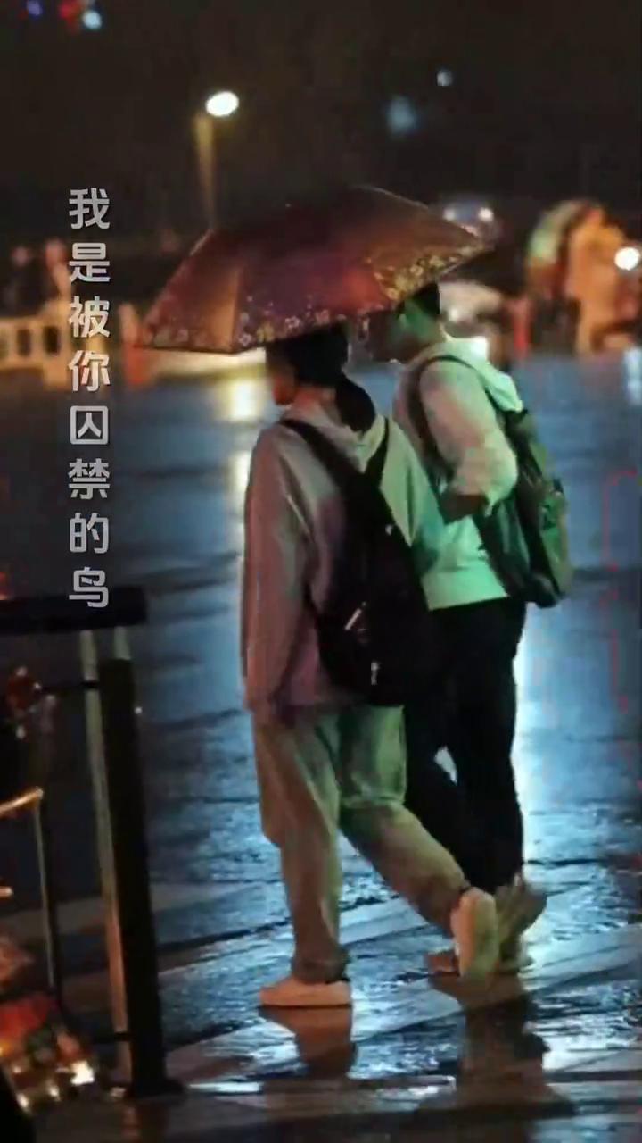 我是被你囚禁的鸟，得到的爱越来越少。看着你的笑在别人眼中燃烧，我却要不到一个拥抱