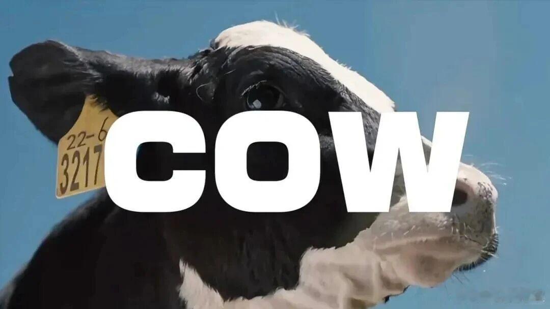 【伊利广告“骂”上热搜，反套路创新改写行业规则】当品牌放下身段与打工人共情，广告