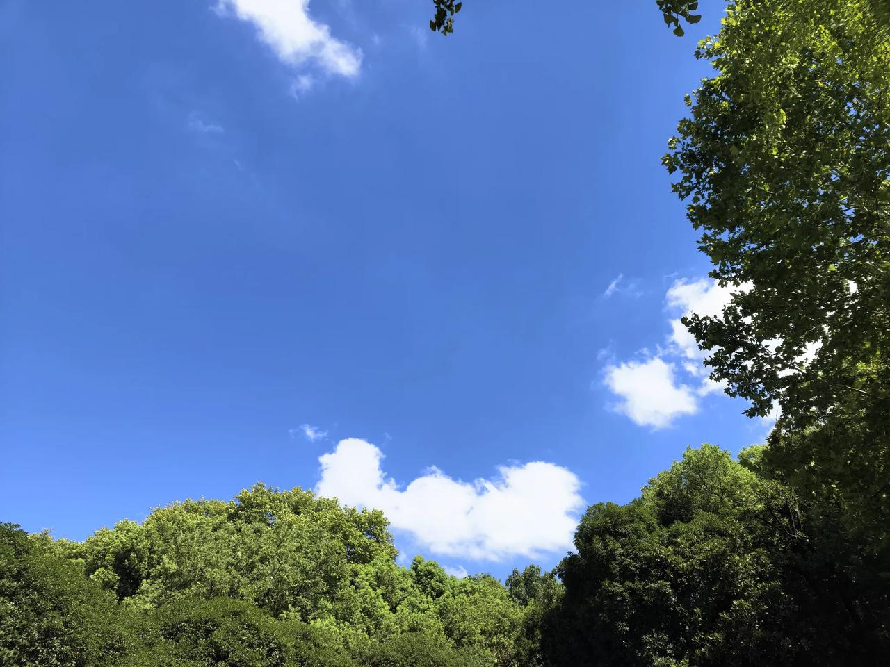 校园的蓝天白云、校园的纯净阳光……
只可惜，假期已经没有余额了[捂脸]
算是新学