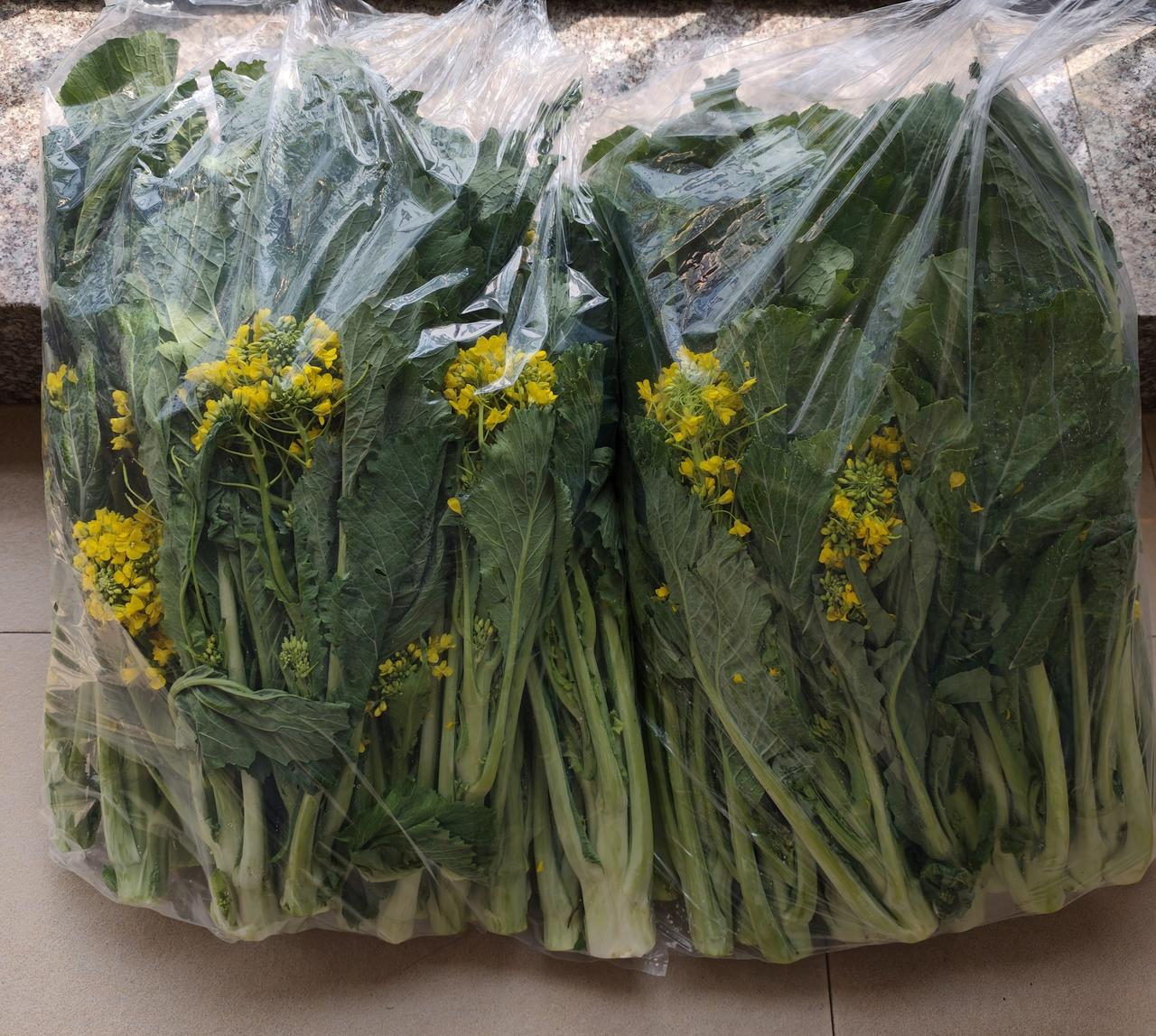 今天坐地铁21号线到增城广场打车去舅舅家，舅舅买了增城的迟菜心给我三兄妹，真系广