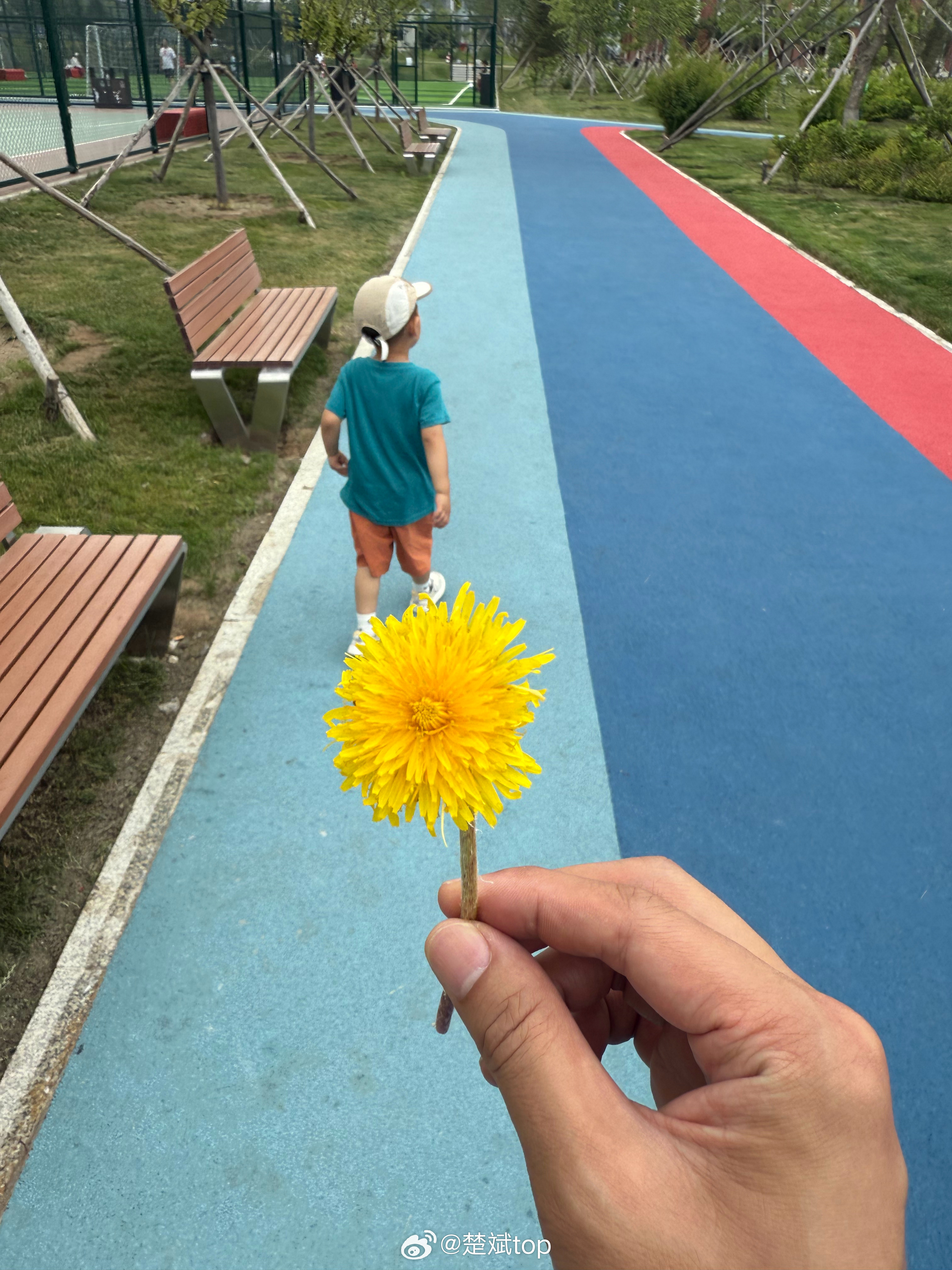 这是我儿子送给我的花！ ​​​