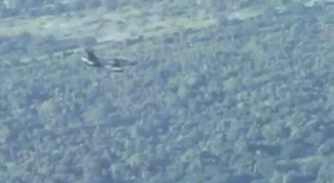 7月16日，委内瑞拉武装部队公开了，委内瑞拉空军出动K-8教练机和F-16战斗机