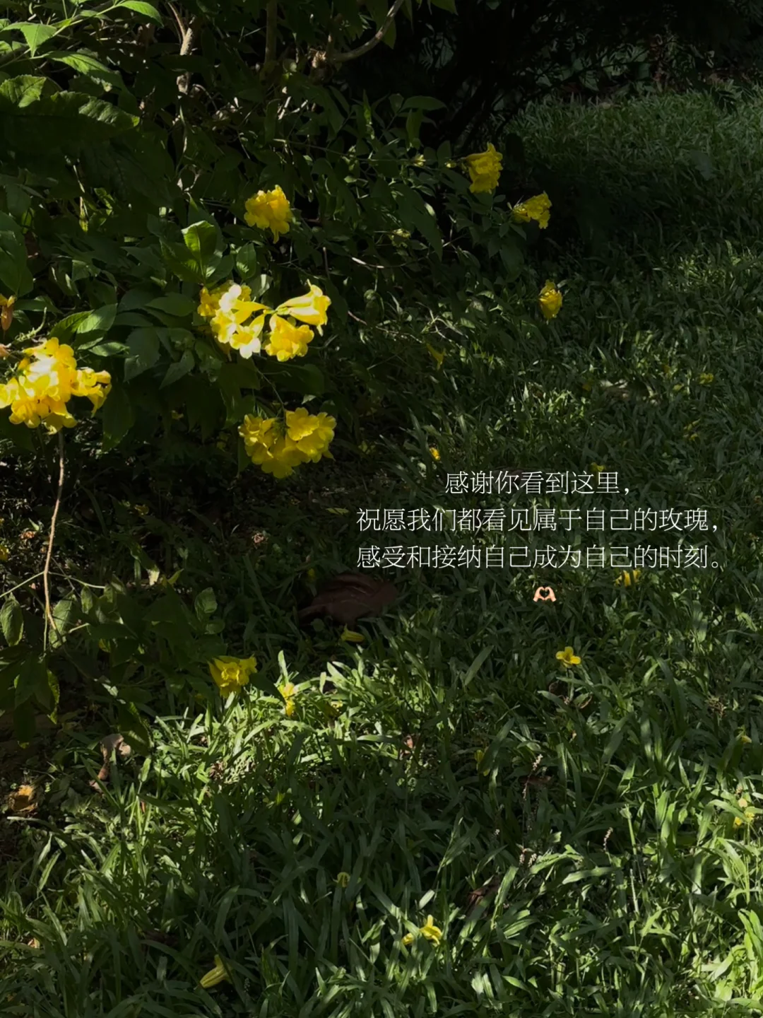 把我放进漫长的时间，感受、沉睡、醒来。