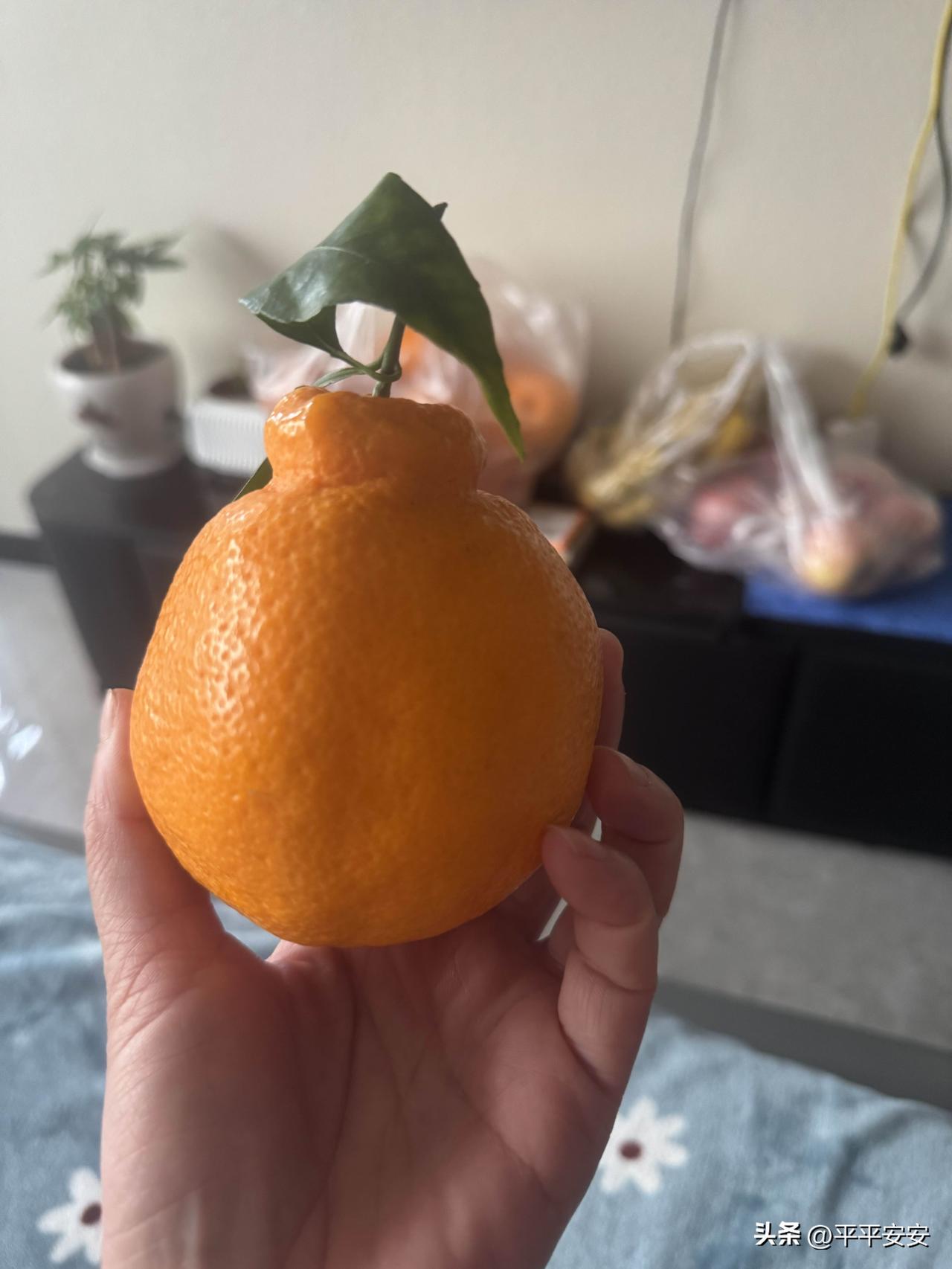 清晨醒来，能听见厨房里父母忙碌的声响，桌上摆着温热的早餐；傍晚归家，推开门就有熟