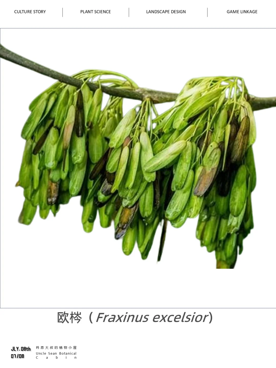 你正在见证着植物的进化！💡