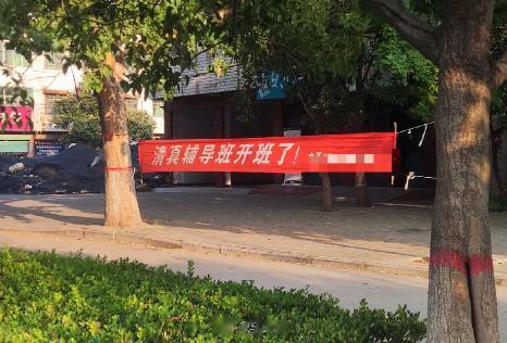 为什么辅导班都要挂上青真的名义？？我……[微笑] ​​​