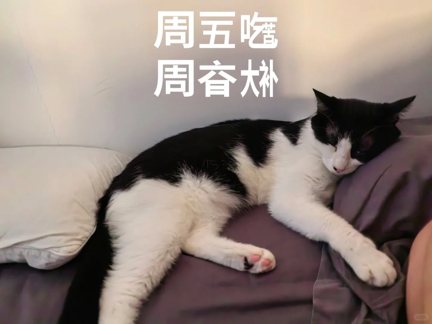 周五快乐！💙
