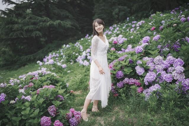 《岭上梅》
​
岭上寒梅几朵开，
​
冰霜岭雪远观来。
​
无根不比尘间朵，
​