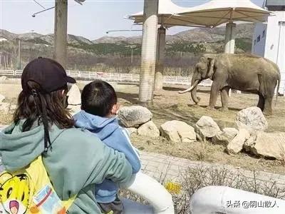 有些游客就是太过矫情。呼市的大青山野生动物园今天是举办的“奇幻动物之旅”的第三天