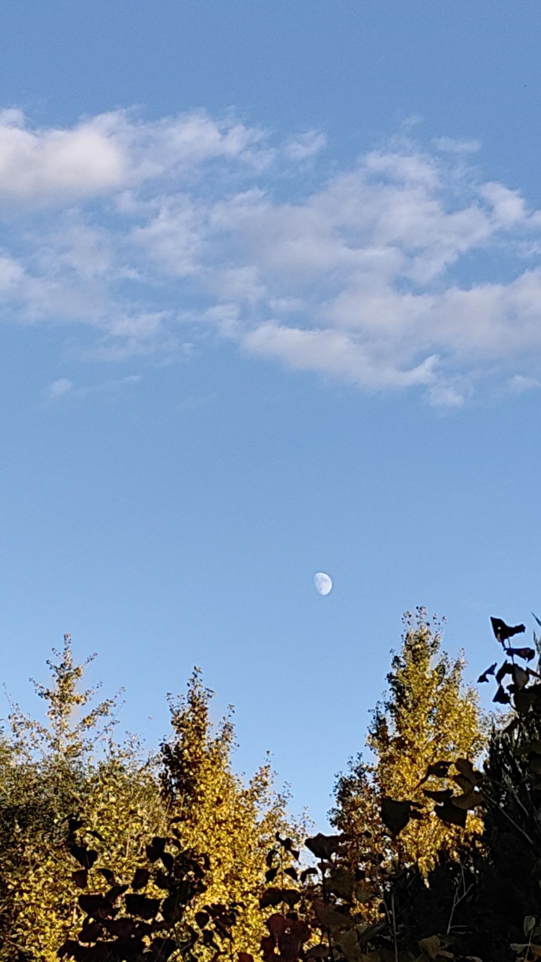 太空烧烤
中国的宇航员在空间站吃上烧烤了，他们真是不容易啊！能吃上现做的烤翅和烤