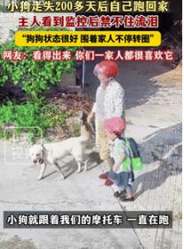 “意外的惊喜！”9月17日湖南一女子接外孙女放学的路上，突然看到有条狗跟着她的摩