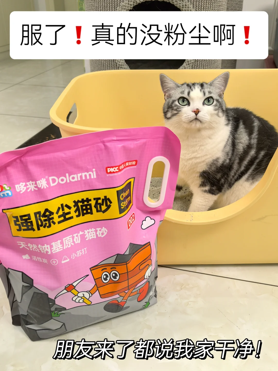 无尘猫砂推荐！让你实现无尘养猫！