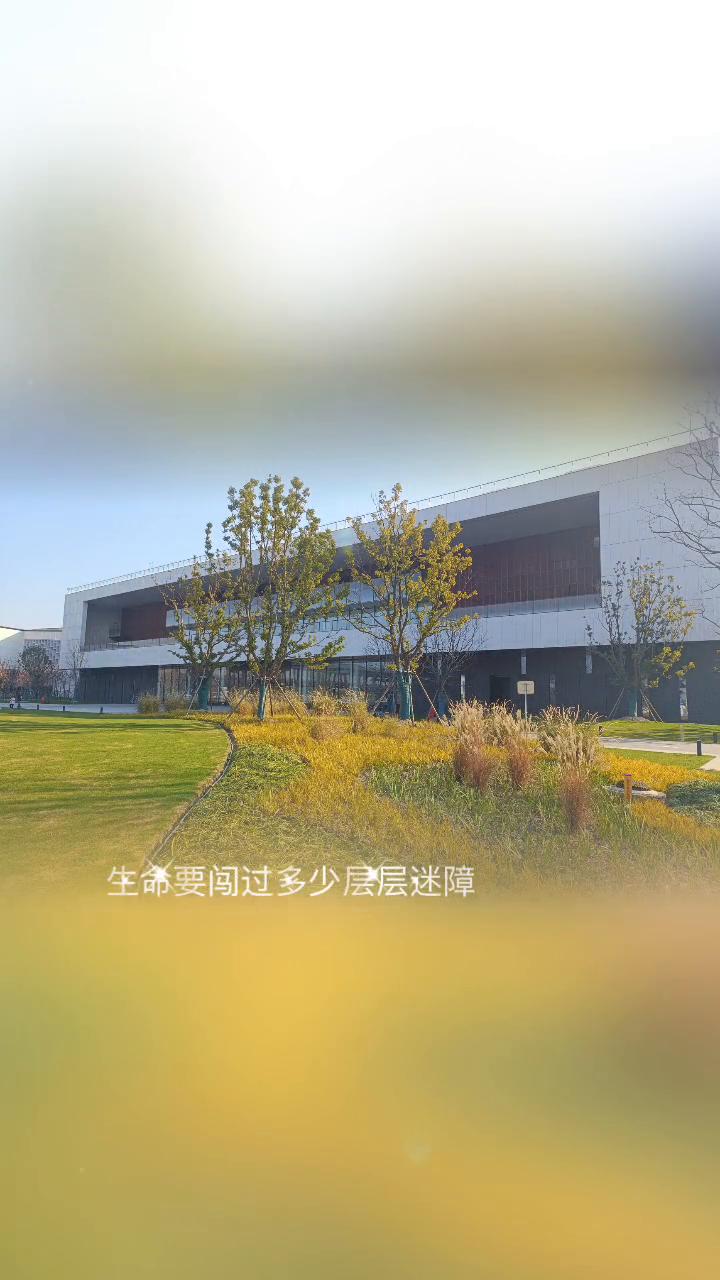 光日常。
我曾遇到一束光在前方，我乘着风的翅膀去飞翔。生命要闯过多少层层迷障，才