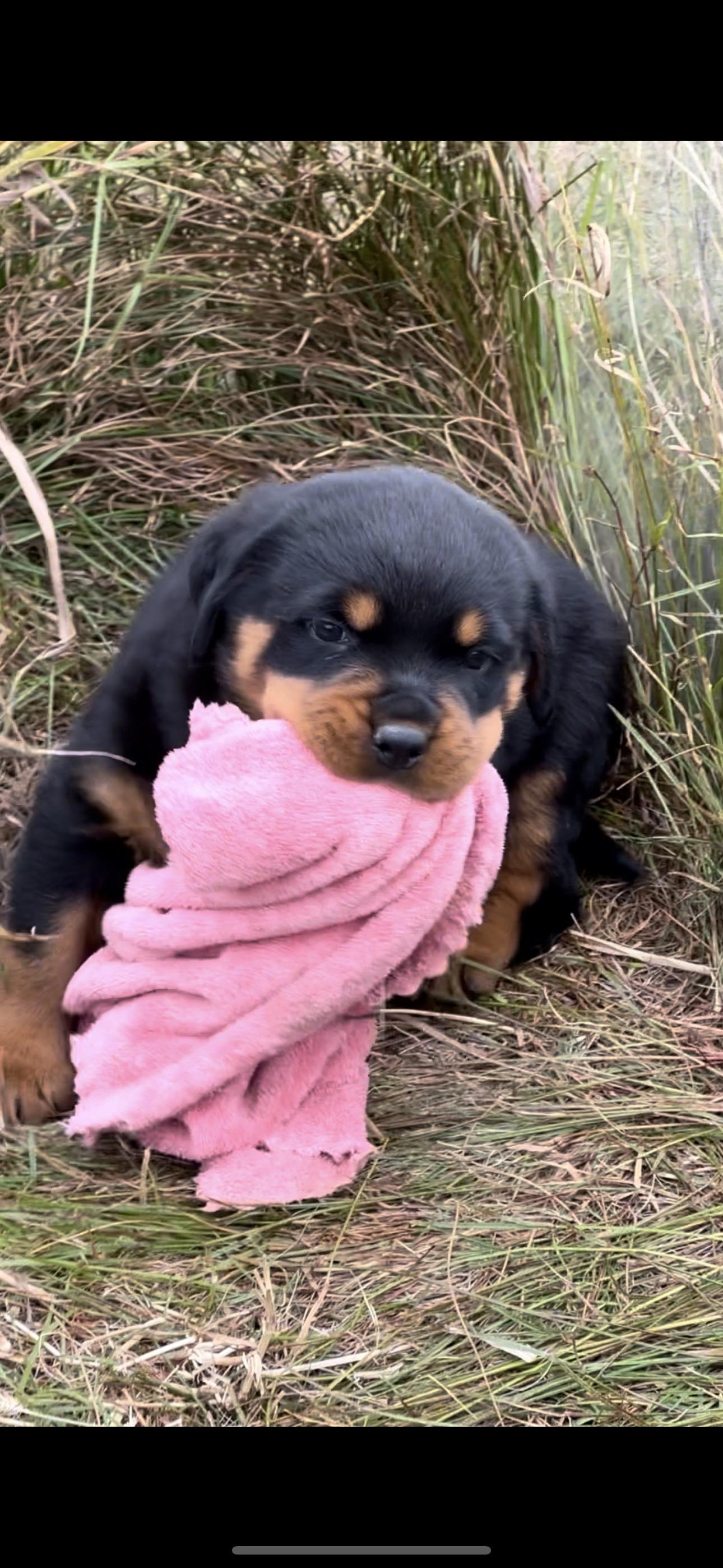 你可能也无法怎么描述它好在哪里 但看上去就知道不便宜