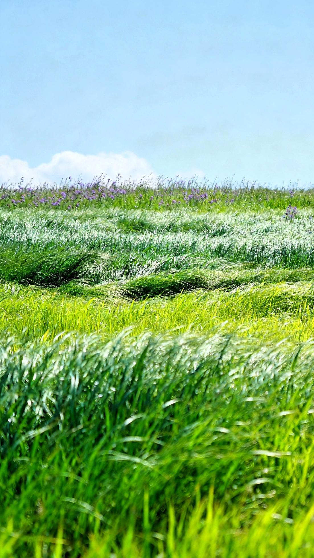 ，对下联
绿野芳草满甸香